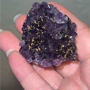 Amethyst Pine